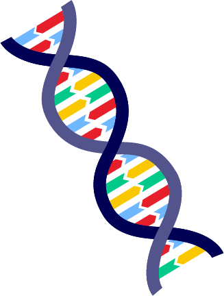DNA double helix.